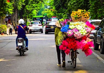 Vietnam Signature – Entre Splendeurs et Traditions